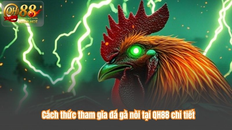 Cách thức tham gia đá gà nòi tại QH88 chi tiết