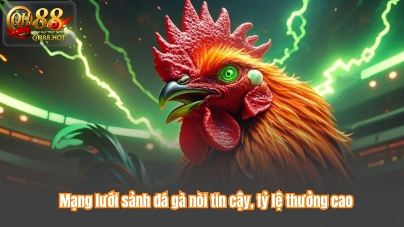 Mạng lưới sảnh đá gà nòi tin cậy, tỷ lệ thưởng cao