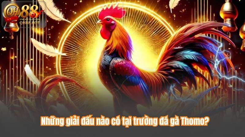 Đá gà Thomo - Đấu trường danh tiếng hàng đầu Châu Á 4 Những giải đấu nào có tại trường đá gà Thomo?