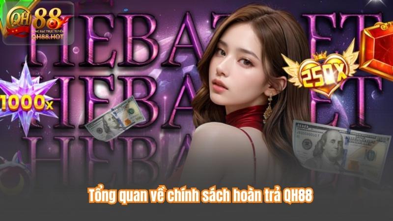 Tổng quan về chính sách hoàn trả QH88