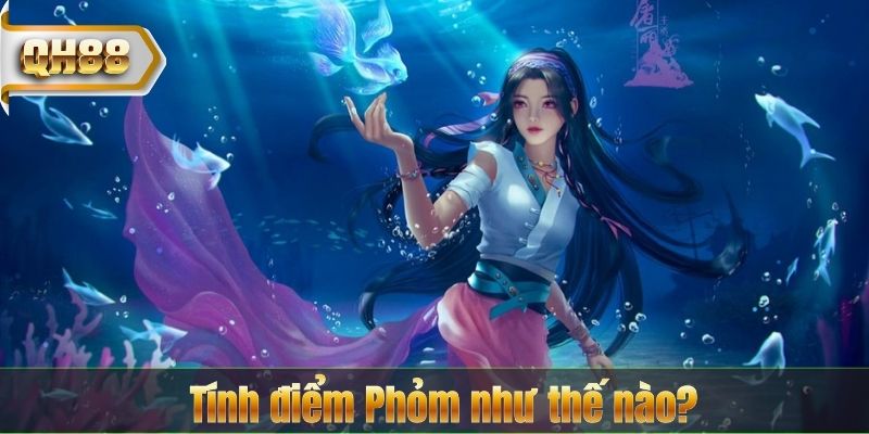 Tính điểm Phỏm như thế nào?